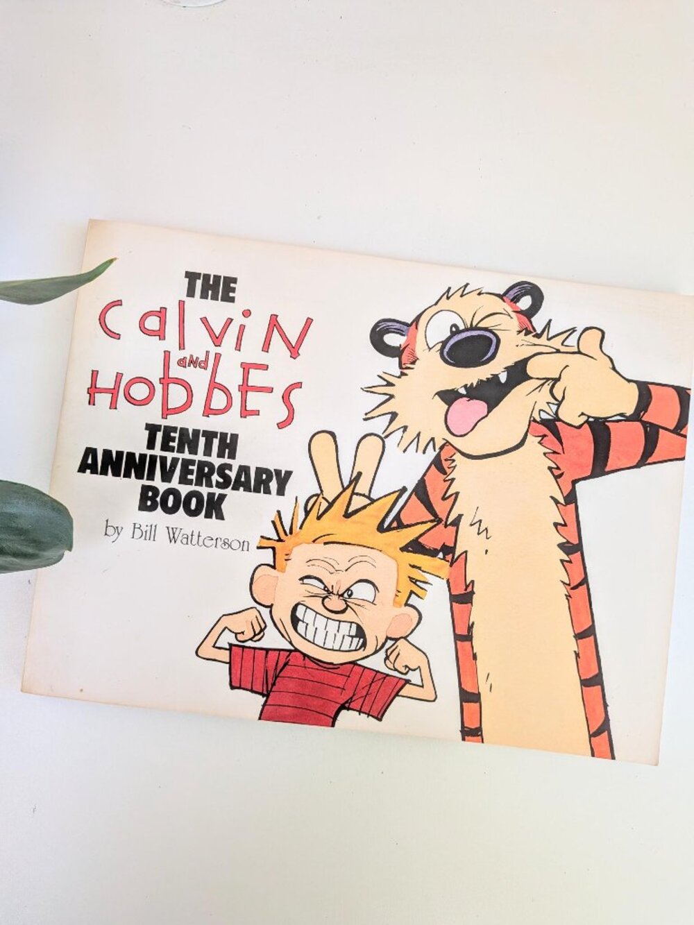 Vintage The Calvin and Hobbes Tenth Anniversary Book | Bill Watterson